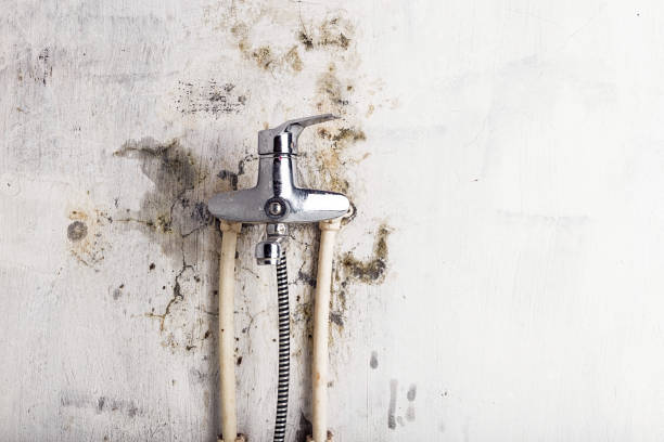 Best Mold Testing  in Haslet, TX