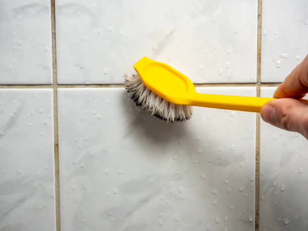 Best Mold Damage Repair  in Haslet, TX