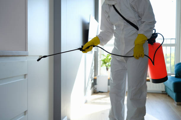 Best Home Mold Removal  in Haslet, TX