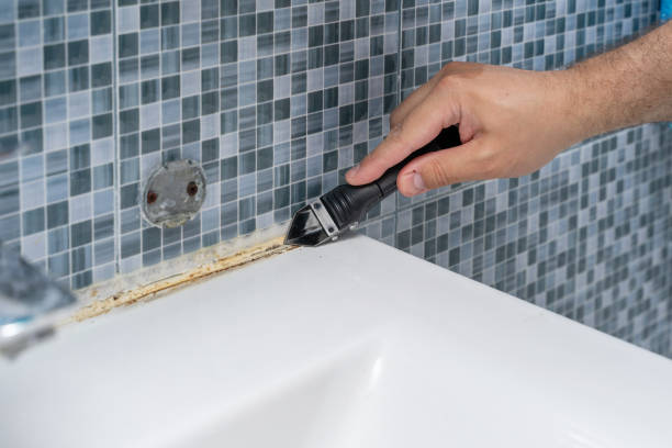 Best Local Mold Removal Service  in Haslet, TX