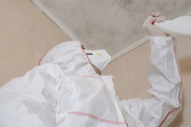 Best Certified Mold Removal  in Haslet, TX
