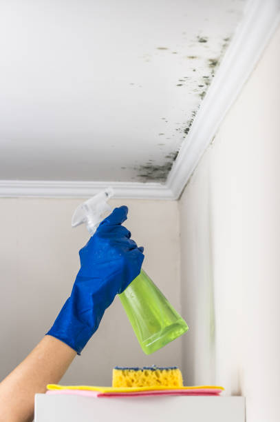 Best Mold Testing  in Haslet, TX